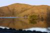 Filename : Lake_Ruataniwha.jpg
Filesize : 155KB
Dimensions : 800x533
Date added : Sep 26, 2008 Lake_Ruataniwha.jpg