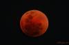 Filename : totality~0.jpg
Filesize : 133KB
Dimensions : 800x533
Date added : Aug 29, 2007 totality~0.jpg